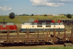 Fredericia, 1. August 1981